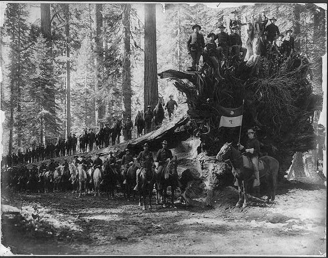 The fallen monarch, surrounded by Co. F, 6th Cavalry...