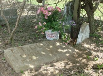 Thomas Dungan's gravesite