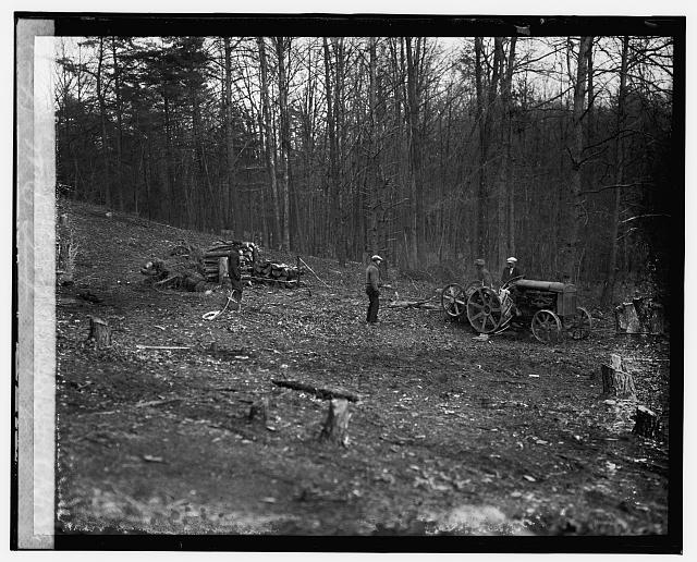 Ford Motor car pulling stump