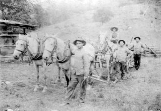 Picture from a Webb family collection
