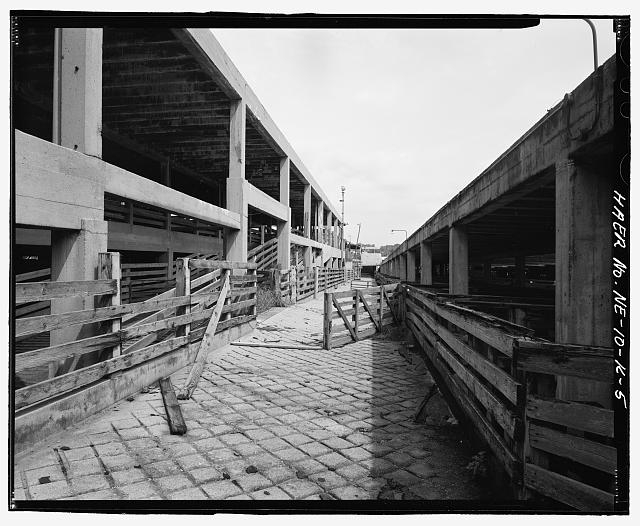 5. South side, covered hog pens to right. View to east. -...