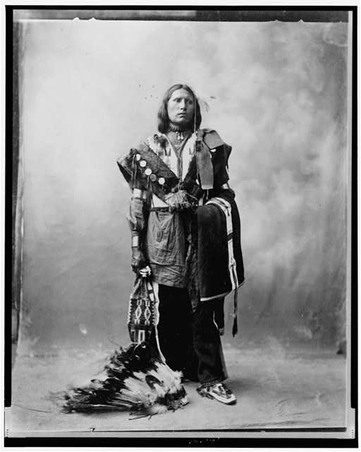 [Thomas American Horse, full-length portrait, standing,...