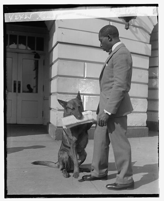 King Tutt hooves Belgian Police, 3/29/29