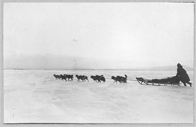 Dogsled crossing bay on Thanksgiving Day