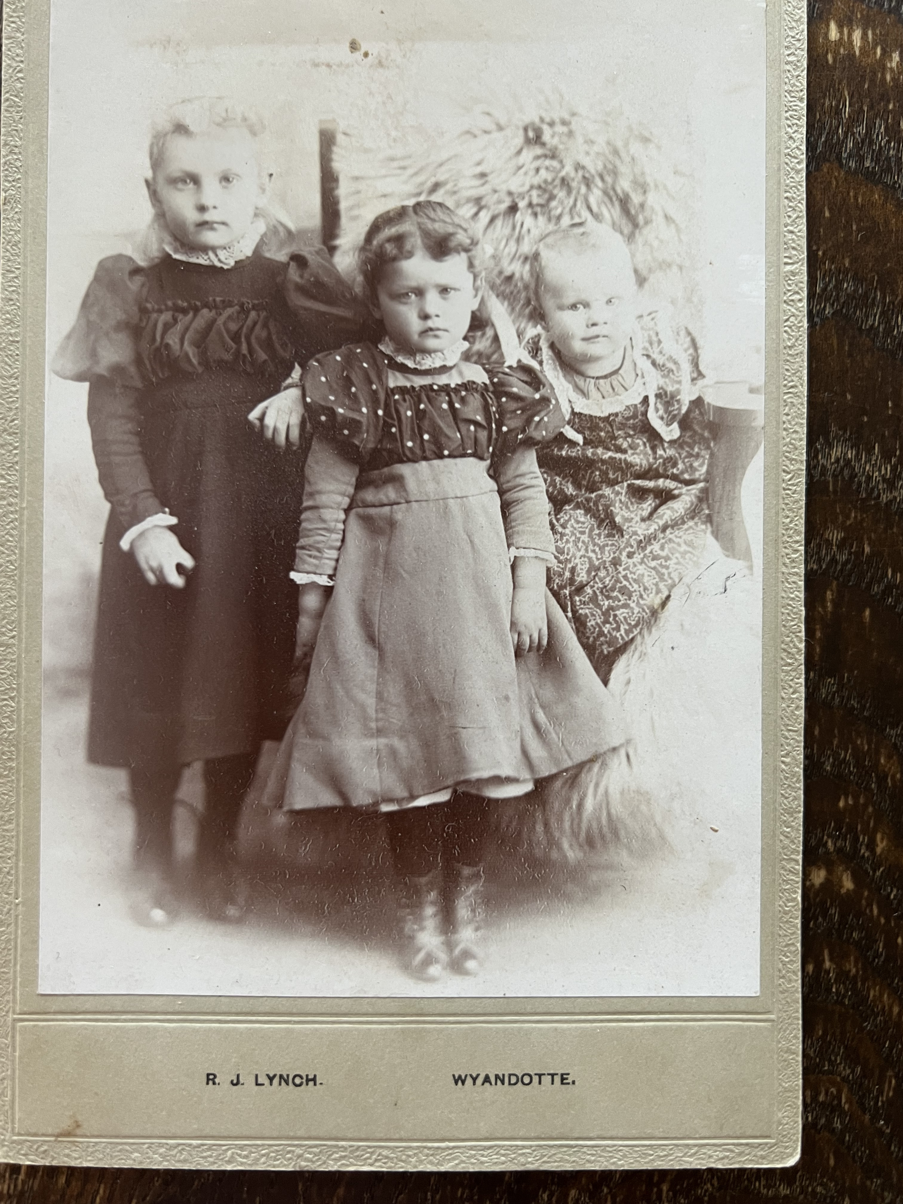 3 young girls RJ Lynch Wyandotte MI