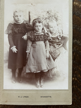 3 young girls RJ Lynch Wyandotte MI