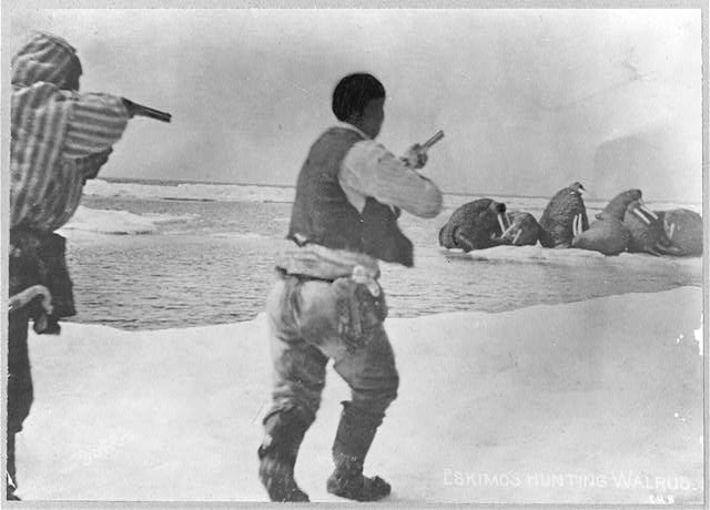 Eskimos hunting walrus