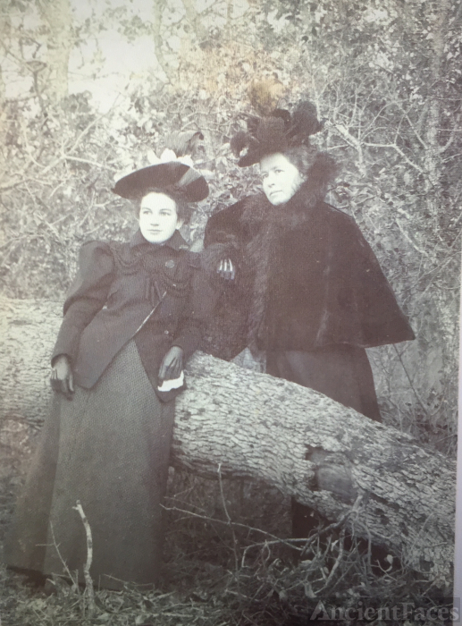 Susan Elizabeth Evans