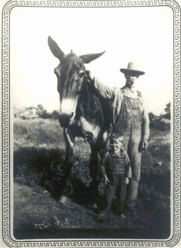 Grandpa and his mule
