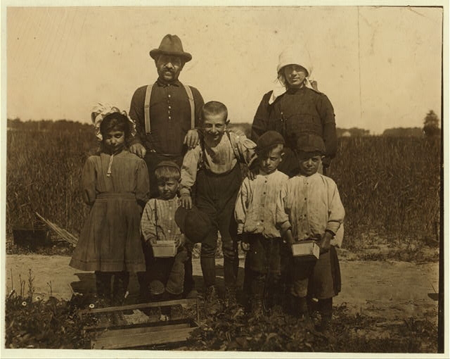 The Arnao family of berry pickers in the fields of...