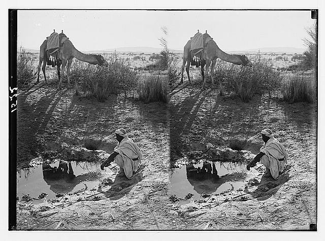 To Sinai via the desert. Bitter spring in Wady Taiybeh.