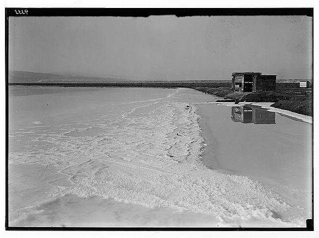 Dead Sea album prepared for the Palestine Potash Ltd....