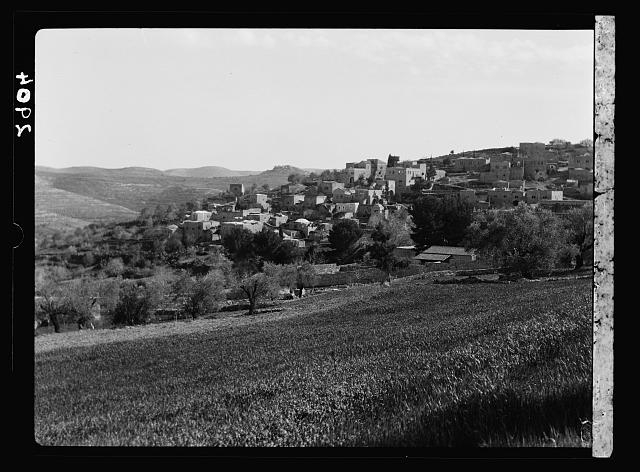 Jaffa to Jerusalem. Abou Ghosh. Karyet el-Ineb. Near view...