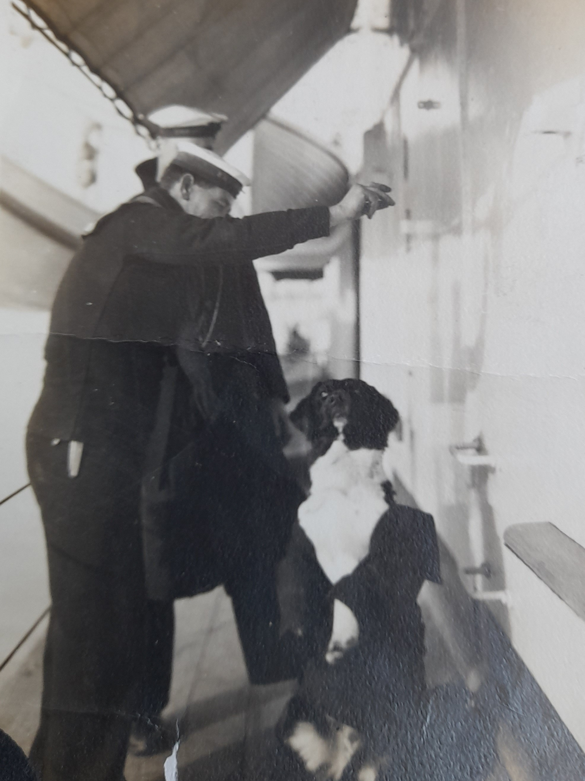 Ship's mascot 