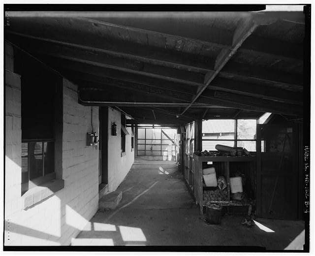 5. VIEW EAST, INTERIOR OF UNNUMBERED SCREENHOUSE, WITH...
