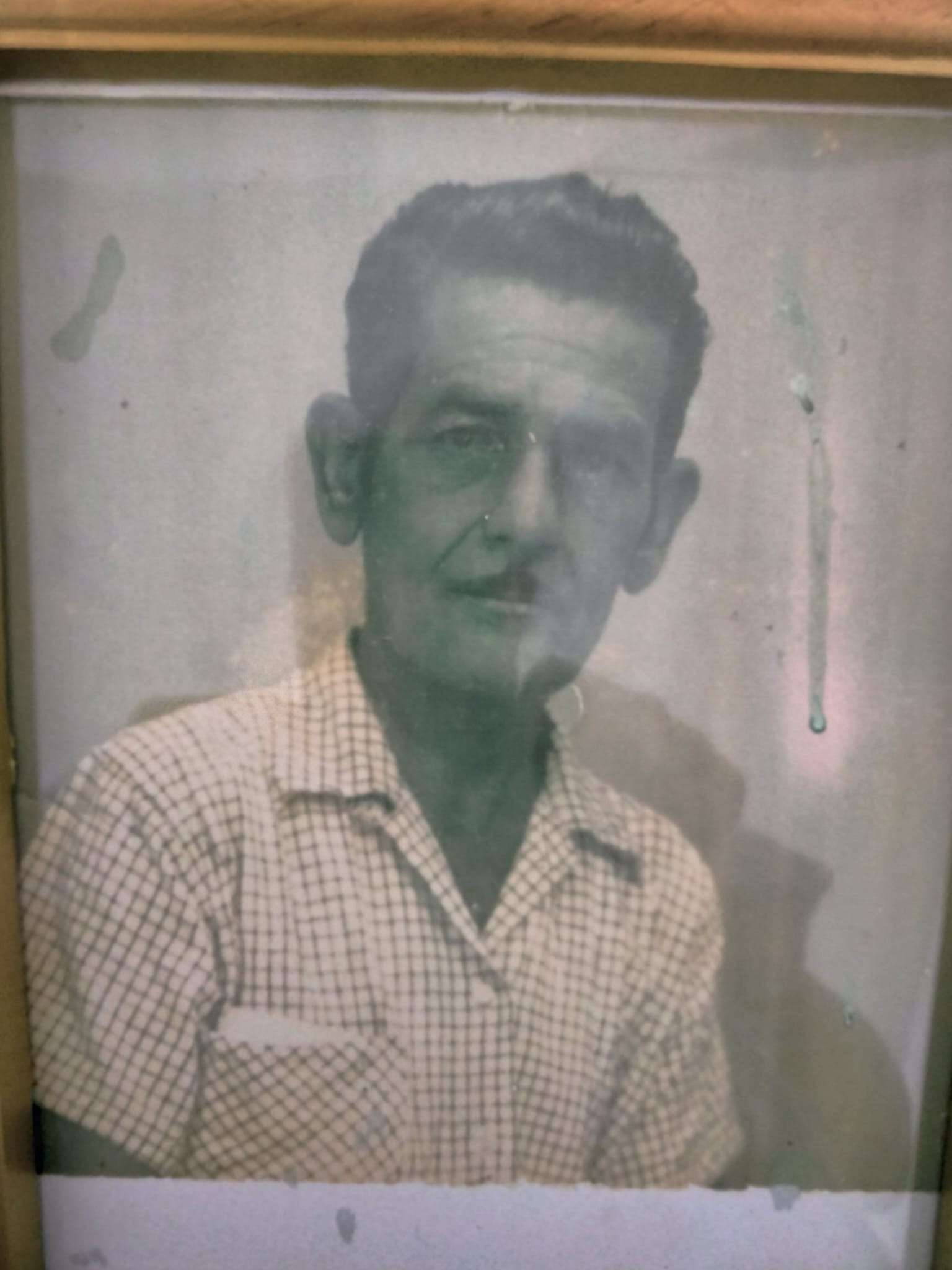 Vicente Ferrer-Diaz