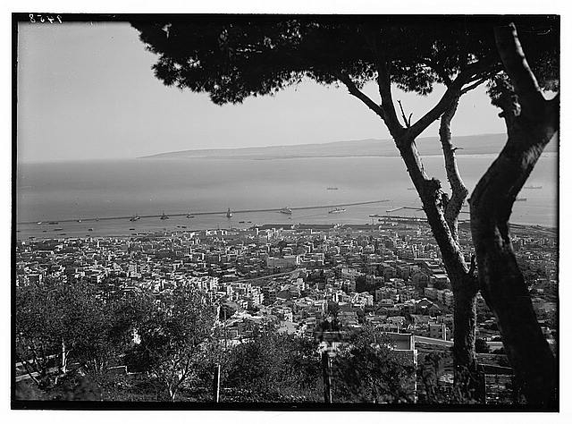 Haifa & harbour from Mt. Carmel