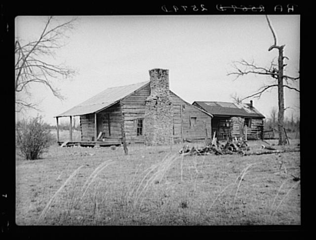 Cedar house at Wilson Cedar Forest project. Near Lebanon,...