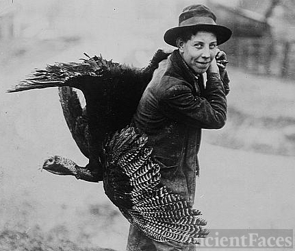 Thanksgiving turkey, c1912
