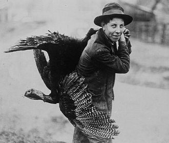 Thanksgiving turkey, c1912
