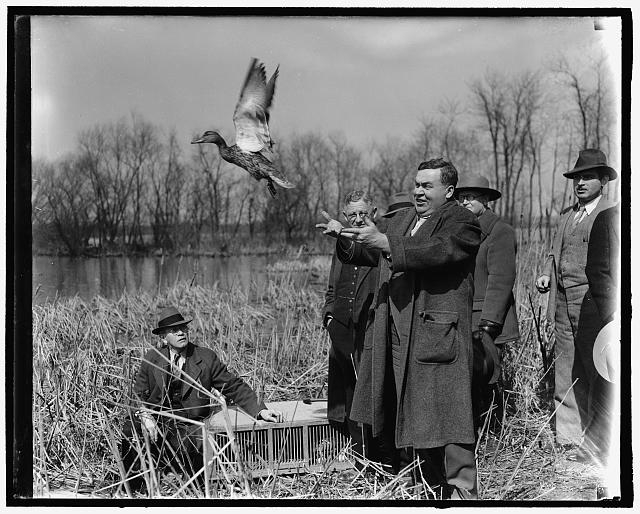 They brought the ducks but didn't have a dinner on them....