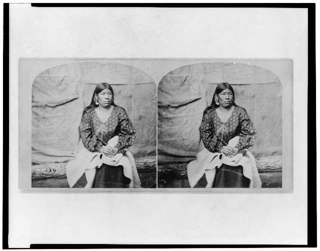 [Winnebago woman, three-quarter length portrait, sitting...