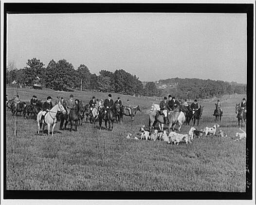 Fox hunt. Fox hunting II