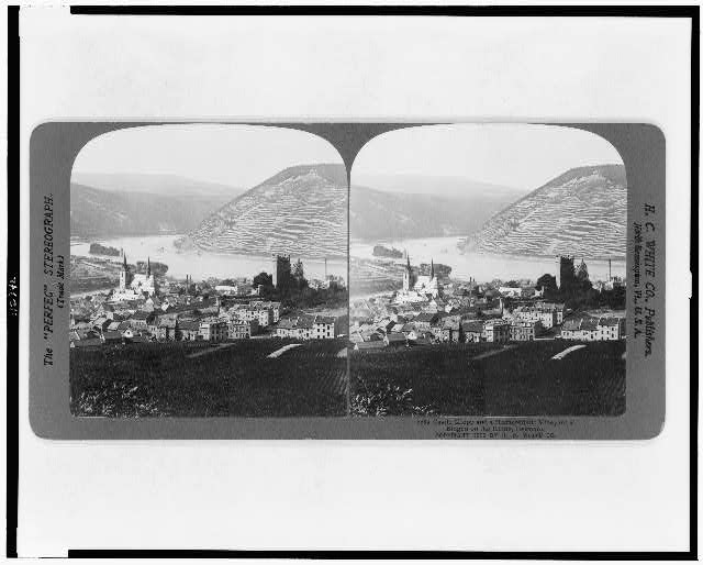 Castle Klopp and characteristic vineyard at Bingen on the...