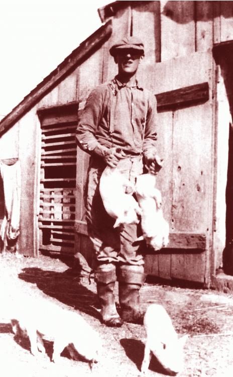 William Mc Robbie & his piglets