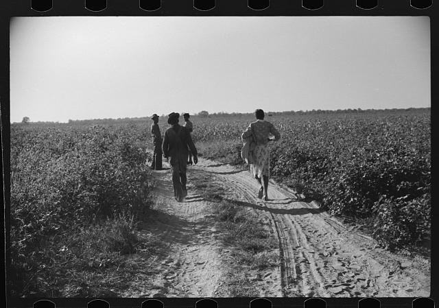 [Untitled]