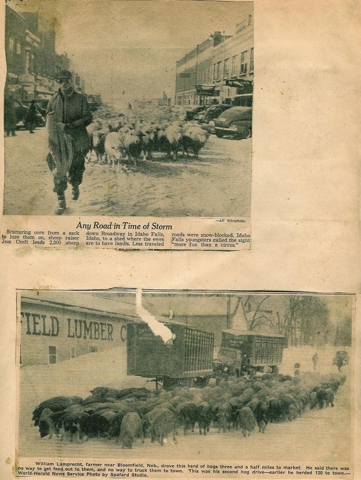 Midwest Blizzard of 1949, #8