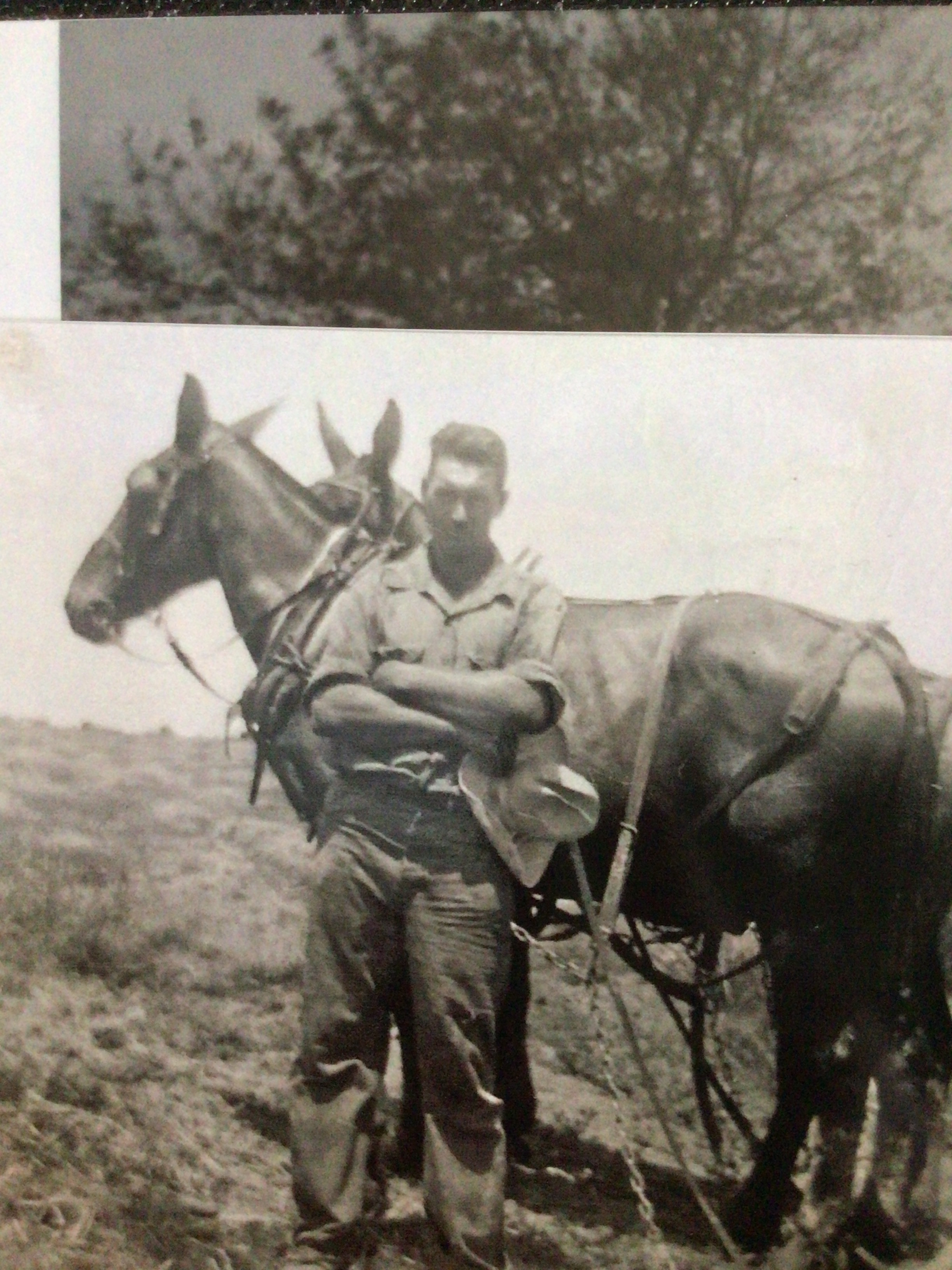 Melvin E. Cook