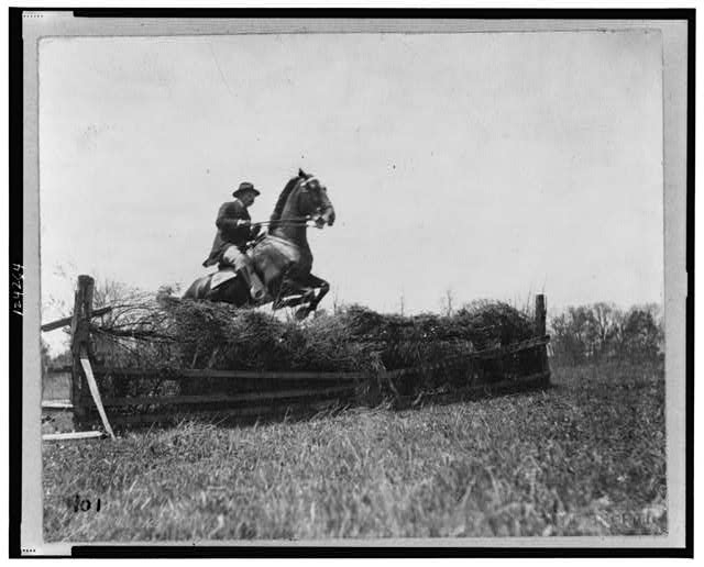 [Theodore Roosevelt, on horseback, facing right; jumping...