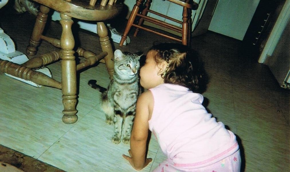 Fabiana, 2008