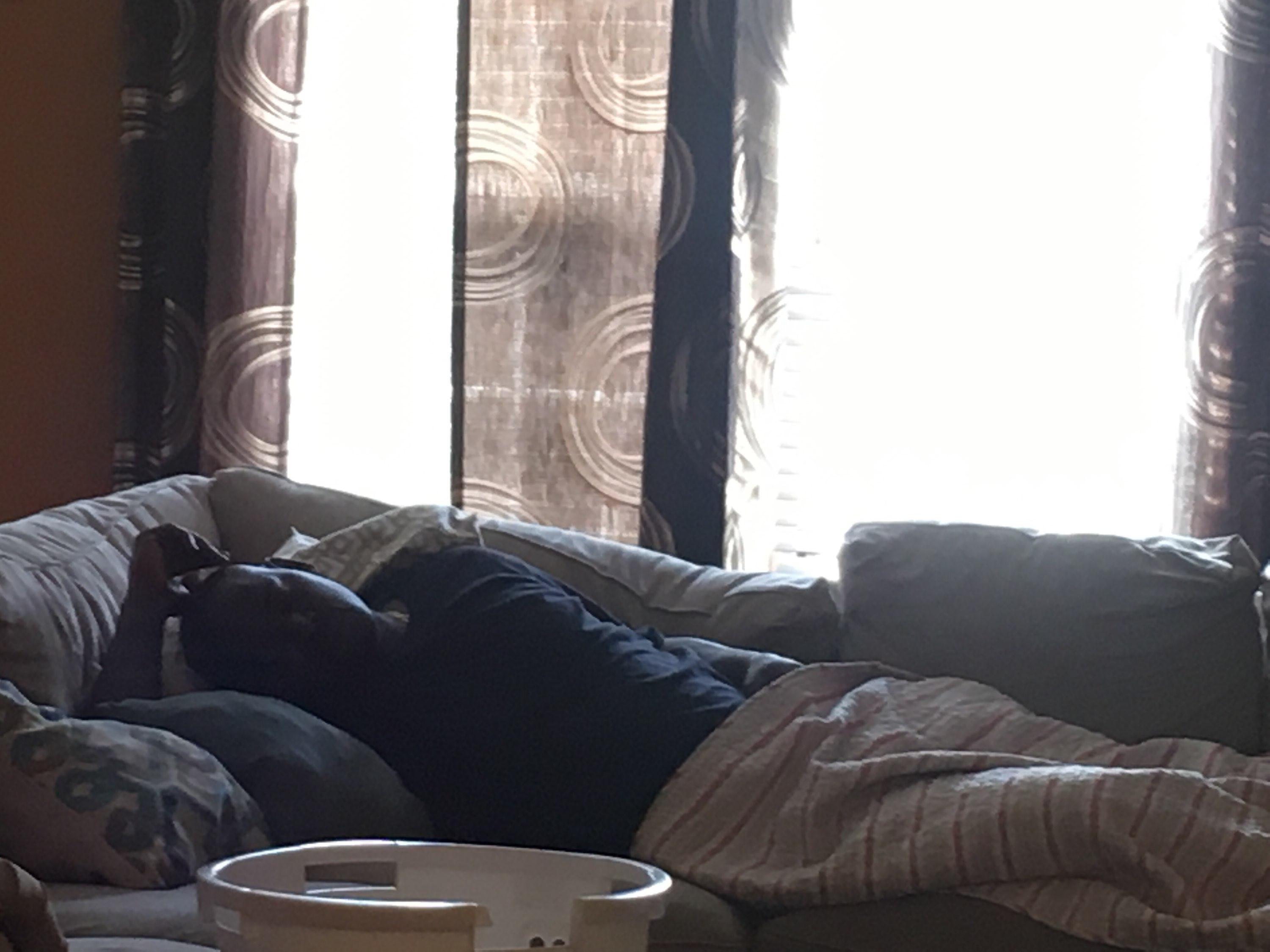 Sid napping Sid napping