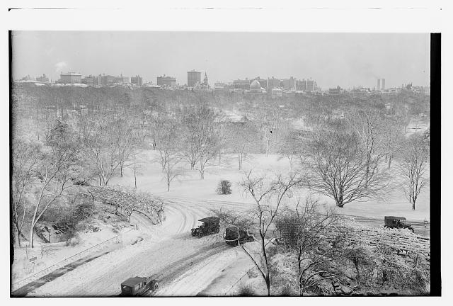 Central Park