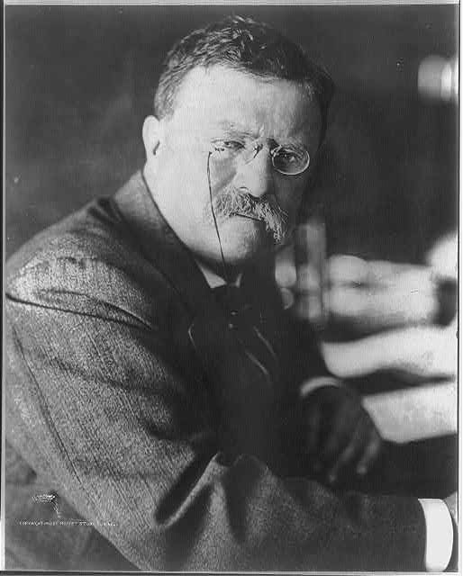 [Theodore Roosevelt, head-and-shoulders portrait, facing...