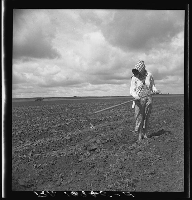 Wife of Texas tenant farmer. The wide lands of the Texas...