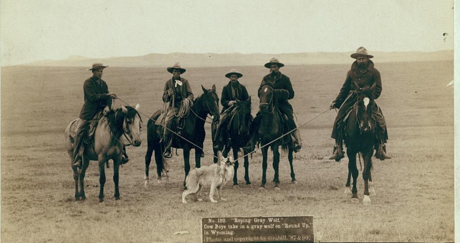Cowboys 1887 Wyoming