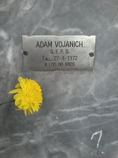Adam Vojanich gravesite