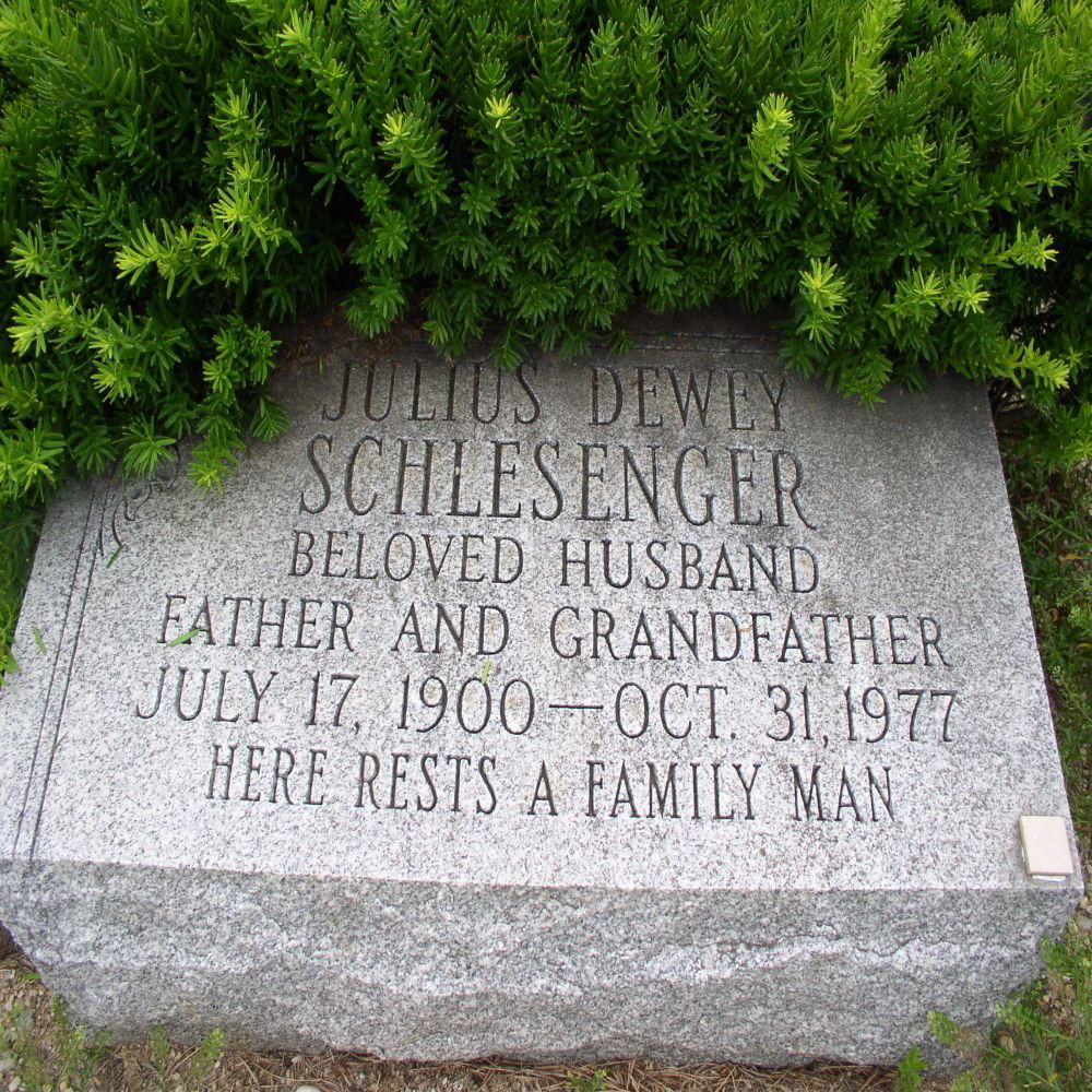 Julius Dewey Schlesenger