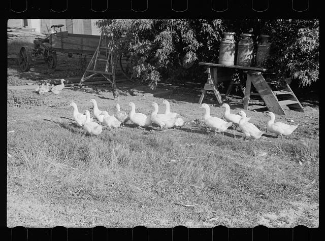 [Untitled]