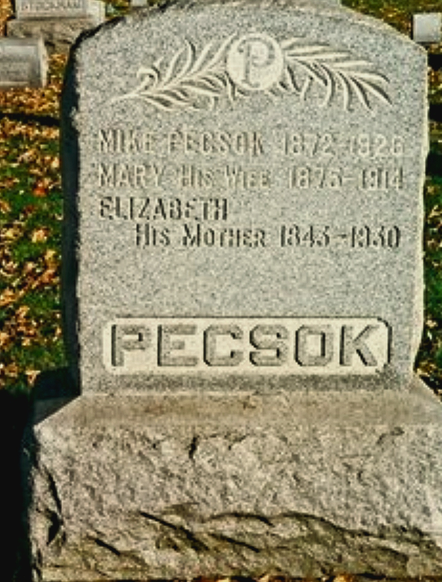 Michael Pecsok
