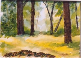 Woods - Watercolor by Fred Halkett