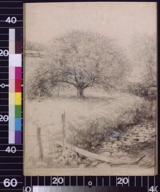 For friendly confidences give me an apple tree in an old...