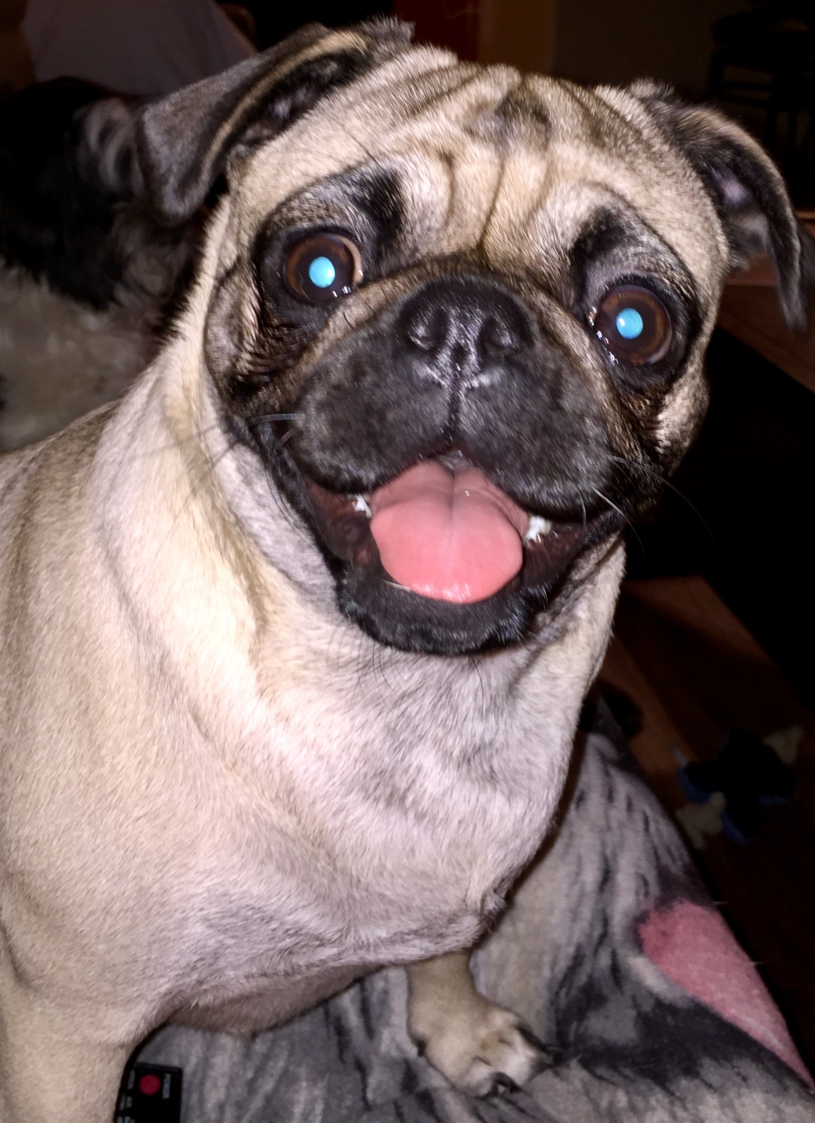 Dyna R. Forester Wallace Mote