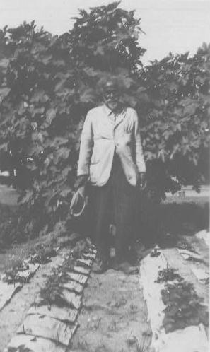Allen Thomas, ex-slave, Beaumont