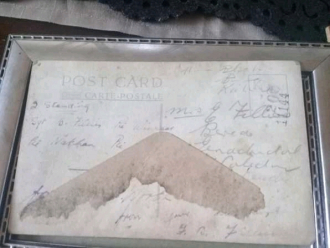 Amalia (Robertson) Fillies Postcard