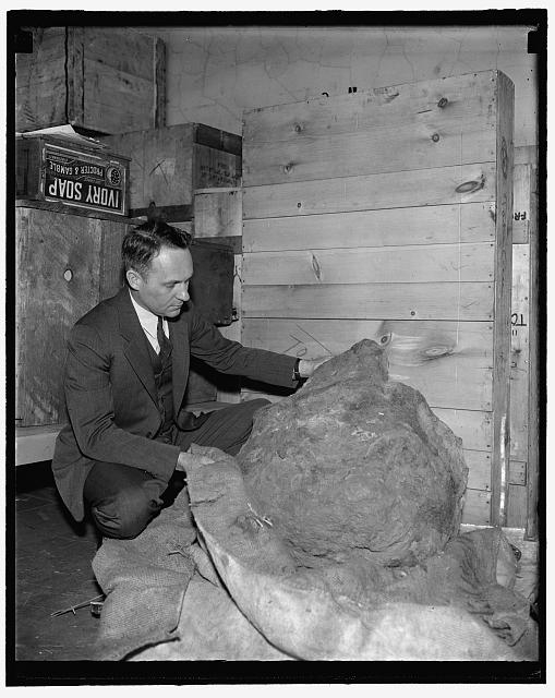 A fragment of largest shooting star placed in Smithsonian...