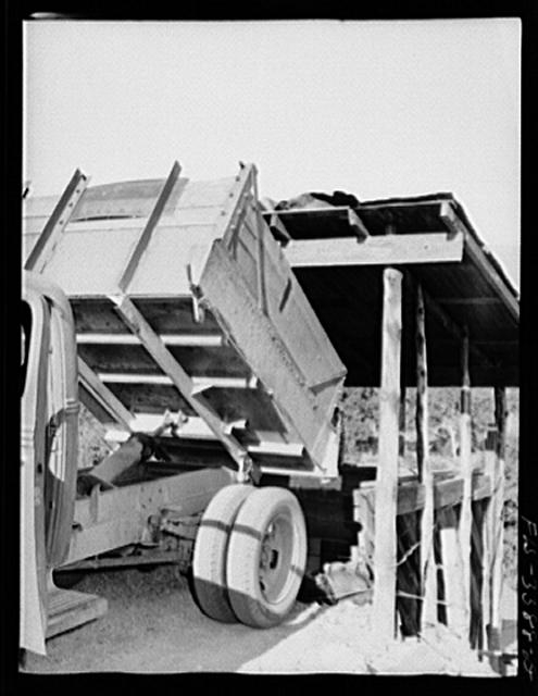 Kern County, California. Tungsten Chief Mill. Dumping...